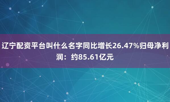 辽宁配资平台叫什么名字同比增长26.47%归母净利润：约85.61亿元