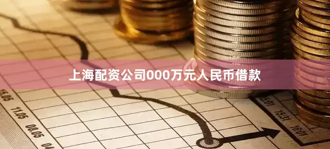 上海配资公司000万元人民币借款