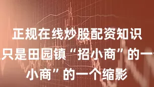 正规在线炒股配资知识门户这只是田园镇“招小商”的一个缩影